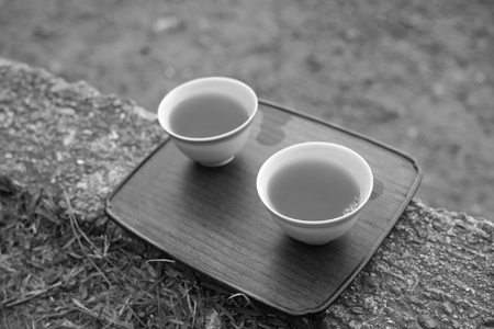 茶