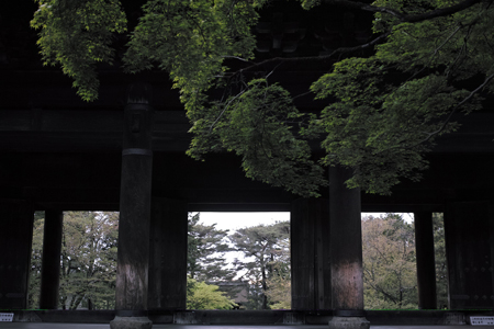 門
