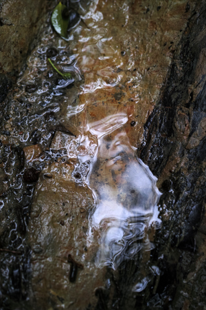 水