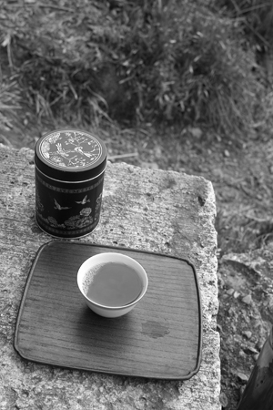 茶