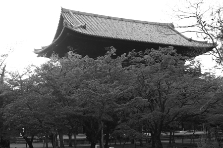 門