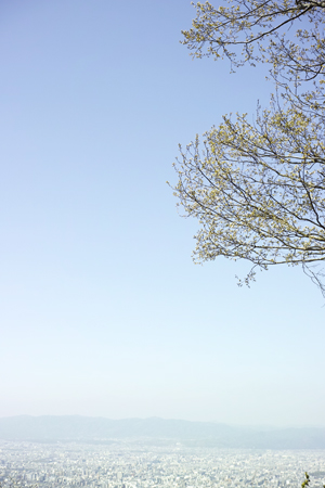 空