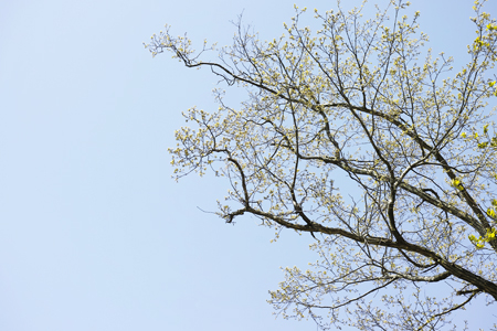 空