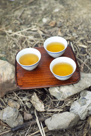 茶