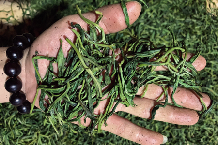 茶葉