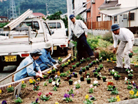 写真