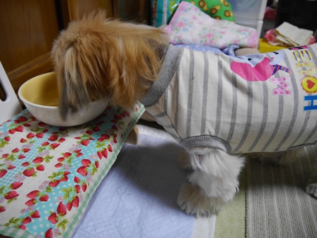 はじ5.jpg