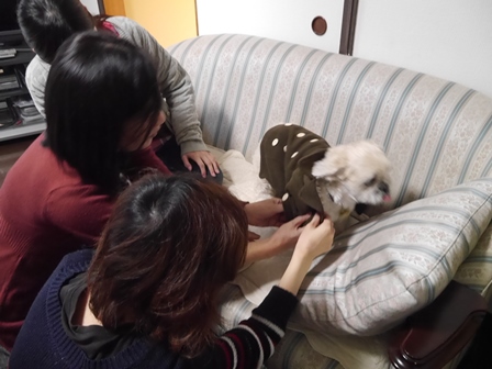 らぶとら3.jpg