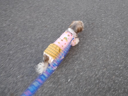 さんぽ4.jpg