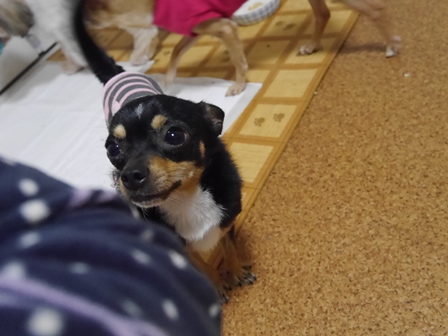 せぶ3.jpg