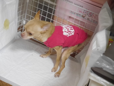 そらんおぺ4.jpg