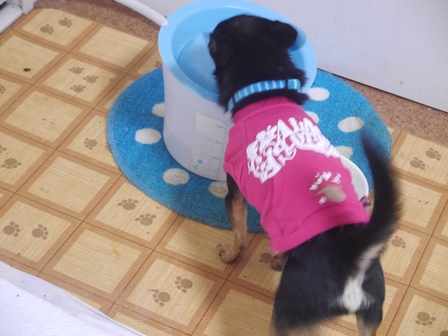 せぶんおぺ1.jpg