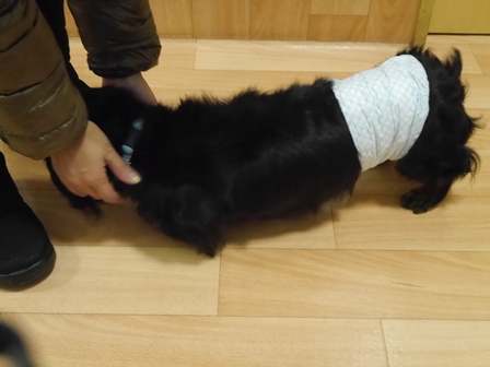 ひきとり18.jpg