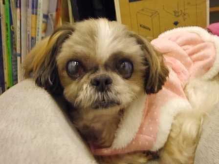 つーとり3.jpg