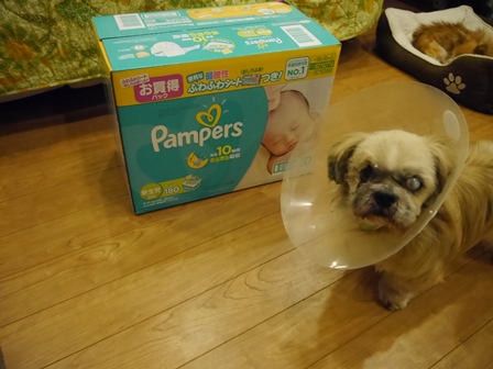 パンパース2.jpg