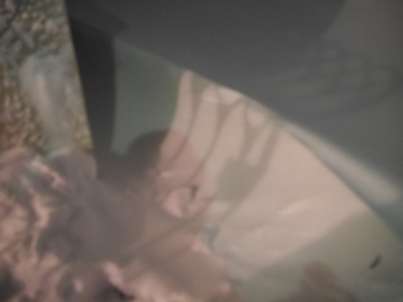 ゆき4.jpg