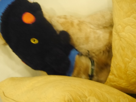 ¤Ê¤ª¤Û¤ë3.jpg