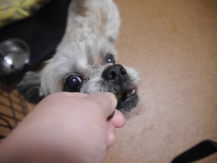 ぐり9.jpg
