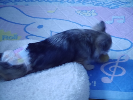ぼーる3.jpg