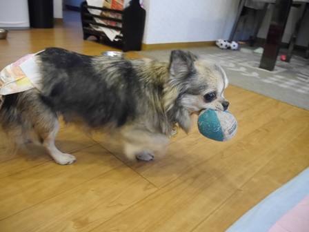 ボール7.jpg