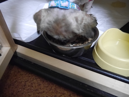 みつお4.jpg
