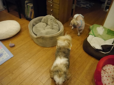 みつお7.jpg