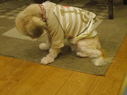 かず2.jpg