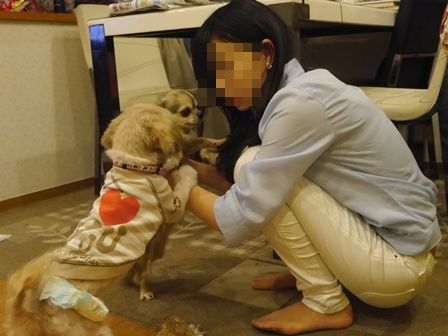 にしん6.jpg