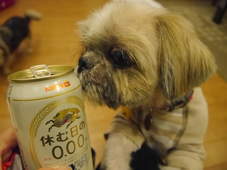 にしん9.jpg