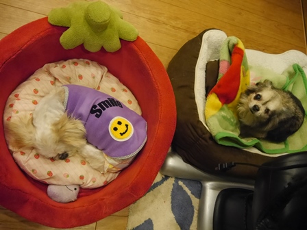 みっこ7.jpg