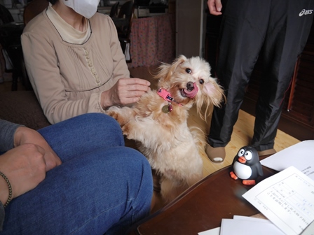 ちえる3.jpg