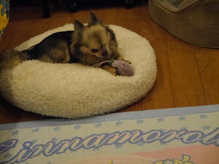 きき5.jpg