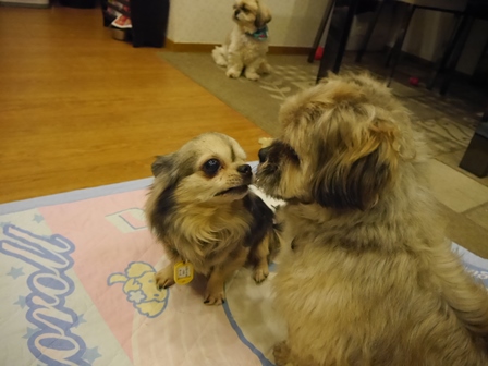 きき12.jpg