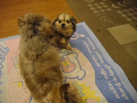 きき14.jpg