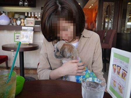 とら2.jpg