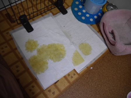 ごご1.jpg