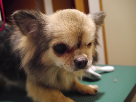ききき4.jpg