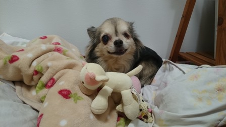 ききとら6.jpg