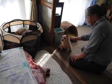 みっこトライアル2.jpg