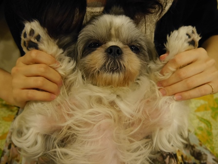 わかちゃん9.jpg