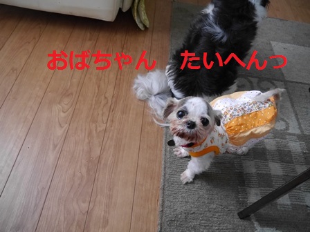 さつ2.jpg
