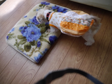 さつ4.jpg