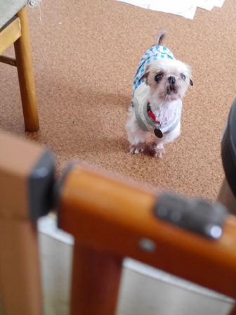 さつ20.jpg