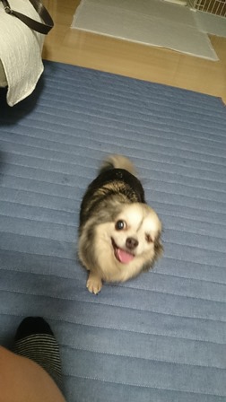 いっかげつきき2.jpg
