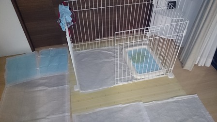 ききといれ.jpg
