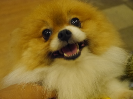 がんばれ5.jpg
