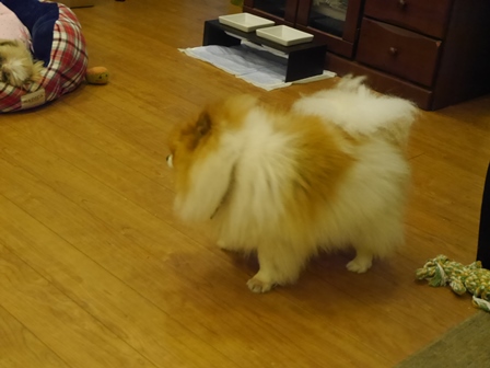 がんばれ8.jpg