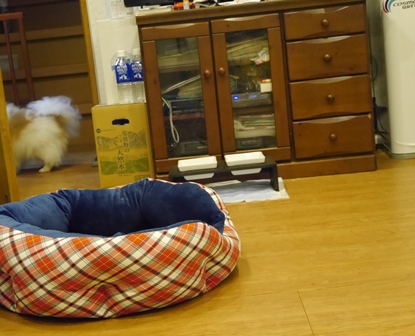 がんばれ8.jpg