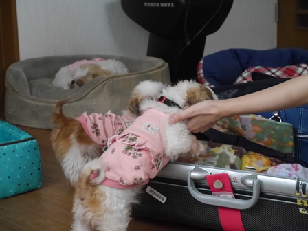 かばん2.jpg