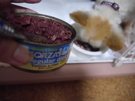 めし2.jpg
